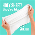 Swypes All Over Body Wipes 3 Sachets Alternative Image