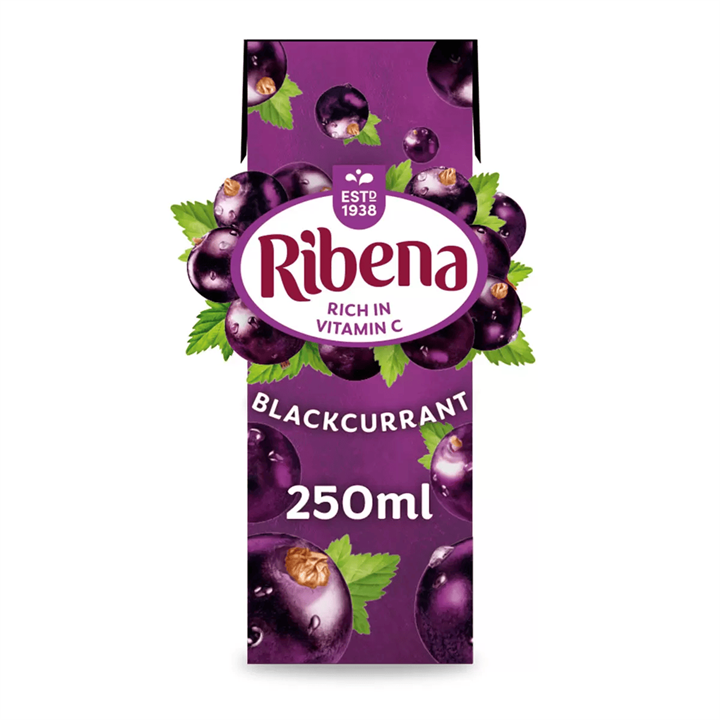 Ribena 24x250ml