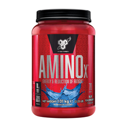 BSN Amino X 1015g