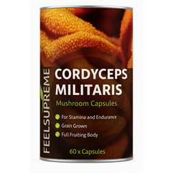 Feel Supreme Cordyceps